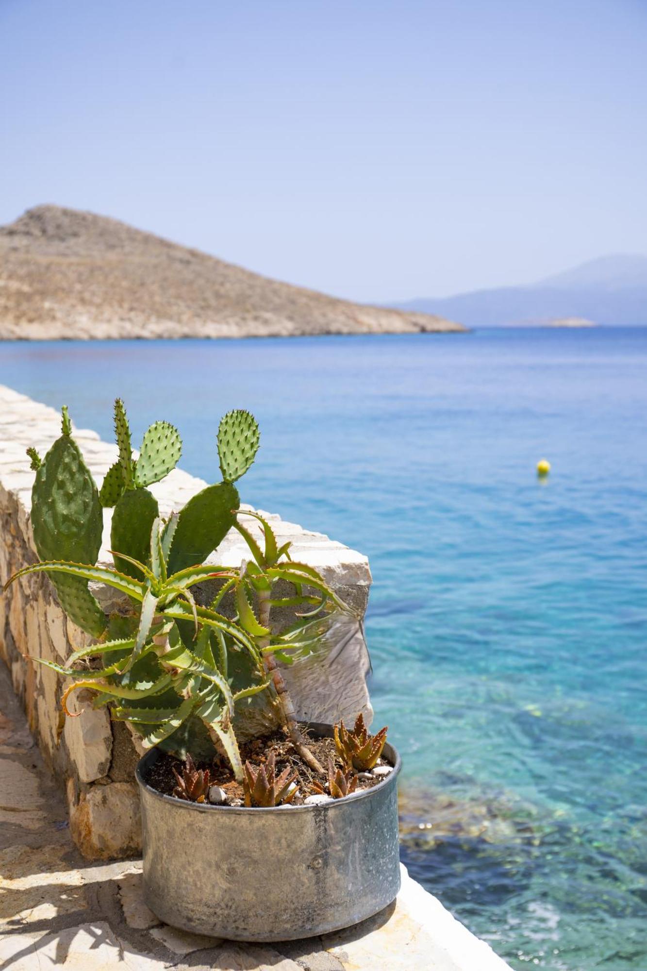 Villa Electra Chalki Town Buitenkant foto